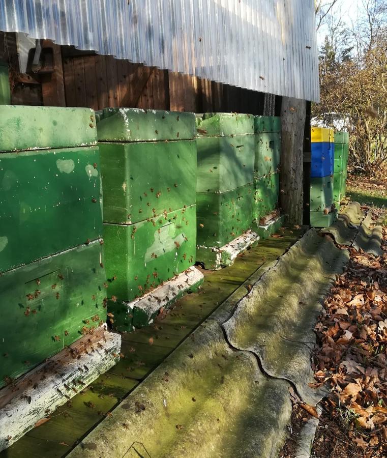 Ferienwohnung Wiesenweg Bad Bederkesa Esterno foto
