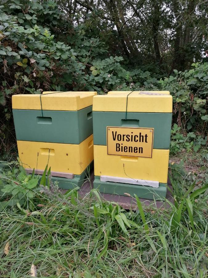 Ferienwohnung Wiesenweg Bad Bederkesa Esterno foto