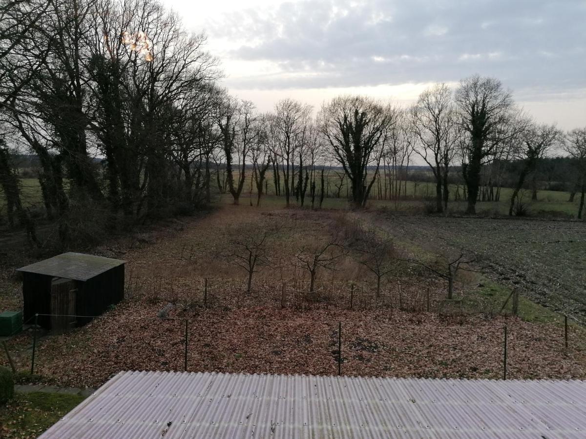 Ferienwohnung Wiesenweg Bad Bederkesa Esterno foto